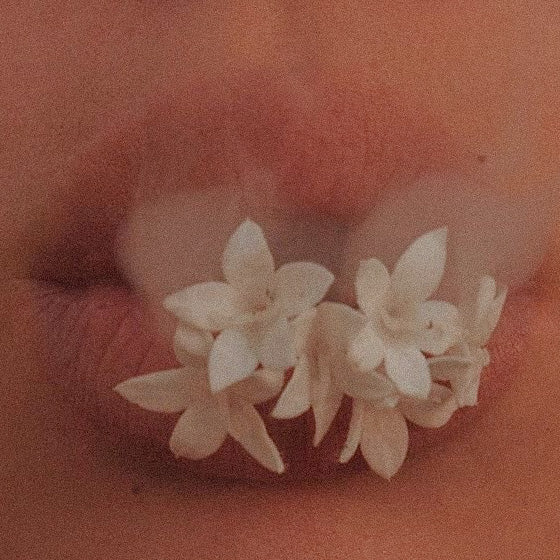 My Favorites For Non-Toxic Teeth