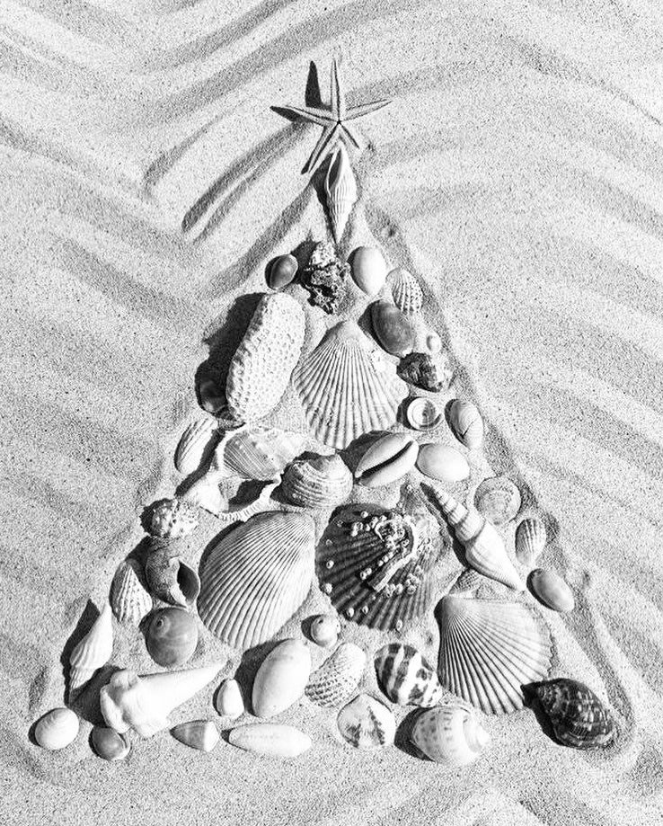 High Vibe Holiday Gift Guide